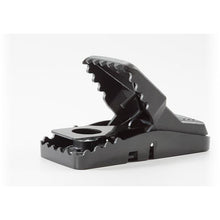 Load image into Gallery viewer, PIÈGE À SOURIS MINI-REX (TAPETTE À SOURIS)