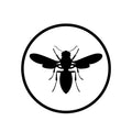 INSECTICIDES.CH